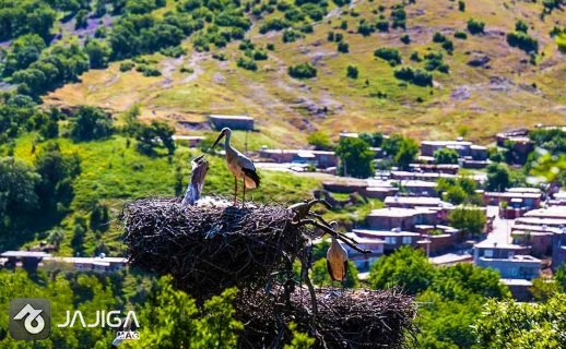 دشت بیلو کردستان