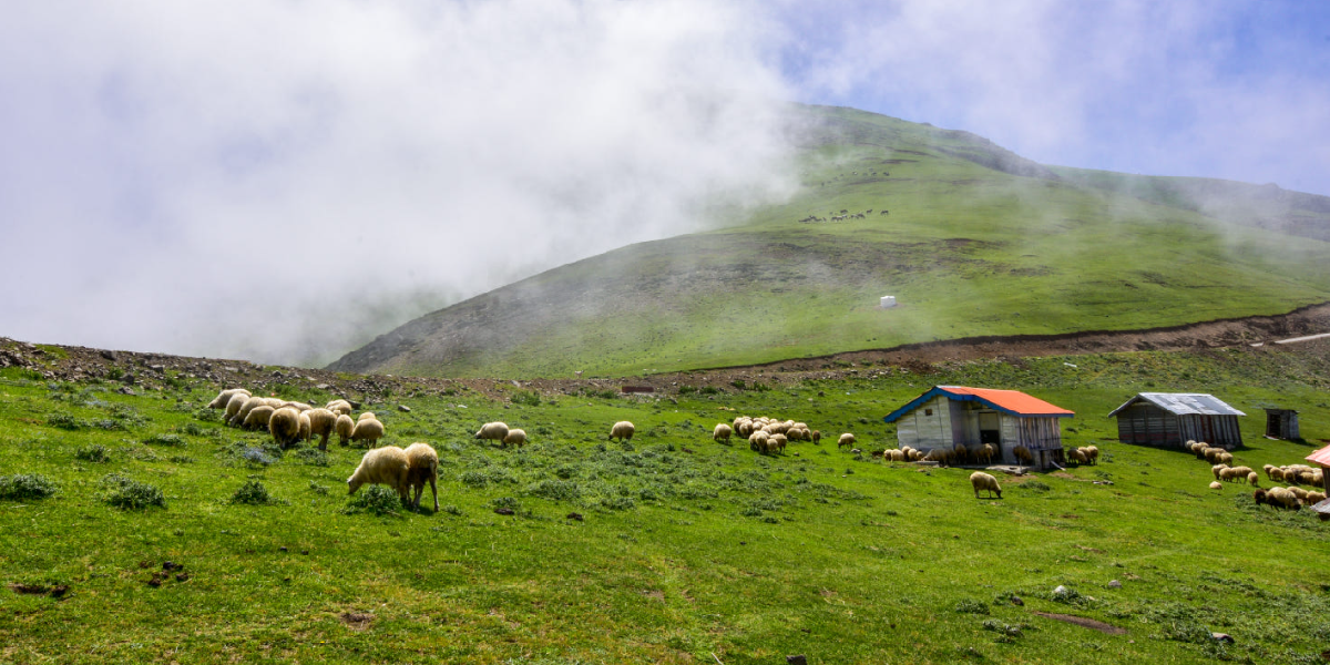 خنک ترین مناطق ایران برای سفر تابستانی