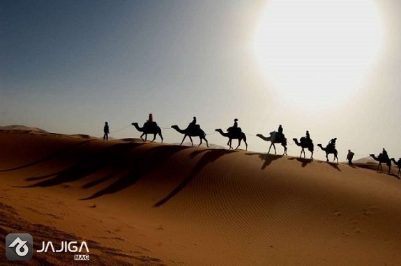 تفریحات کویر مصر