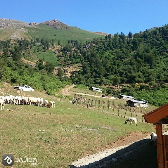 ییلاقات بهشتی ماسال