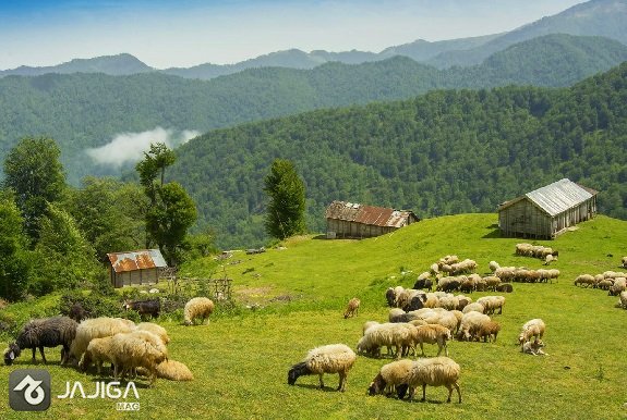 سفر به ییلاقات ماسال