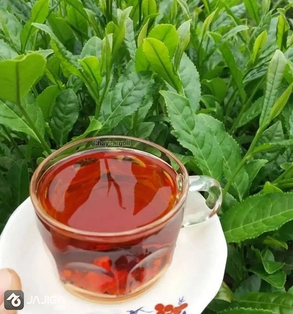 سوغات لاهیجان