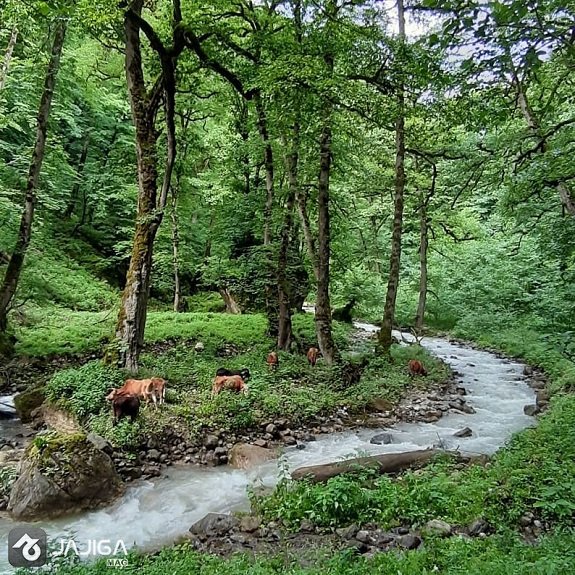 سفر به ییلاقات ماسال