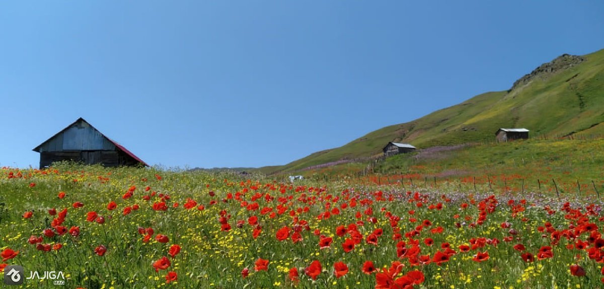 جاهای دیدنی تالش _ از ییلاقات غرق در مه تا آبشارهای خروشان