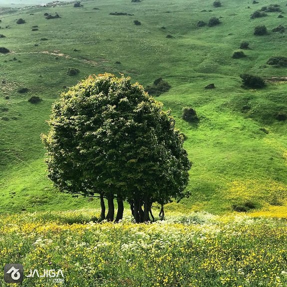 ییلاقات گیلان