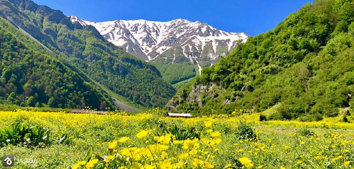دشت دریاسر کجاست؟ سفر تا بهشت اردیبهشت