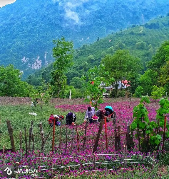 ییلاقات گیلان برای سفر در تابستان