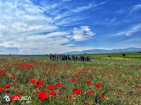 شمال تابستان کجا بریم؟