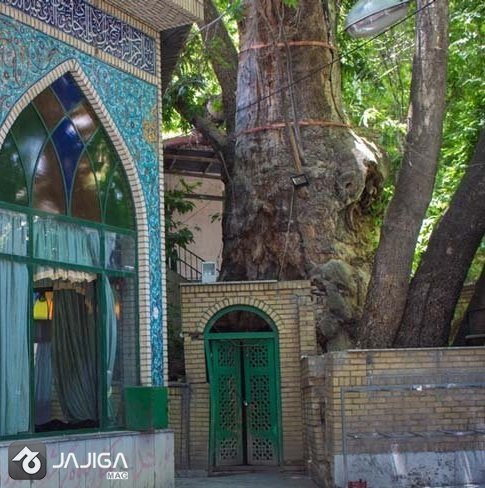 برغان کجا بریم