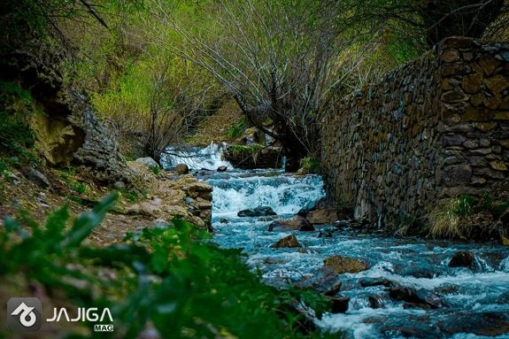 روستای برغان کجاست؟