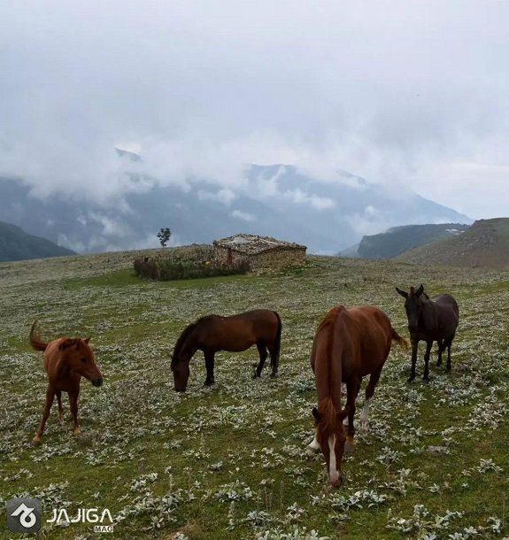 رودسر