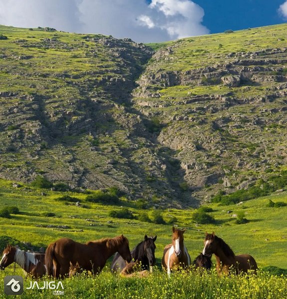 سفر به رودسر