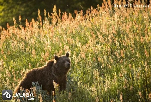 جاهای دیدنی ساری کجاست