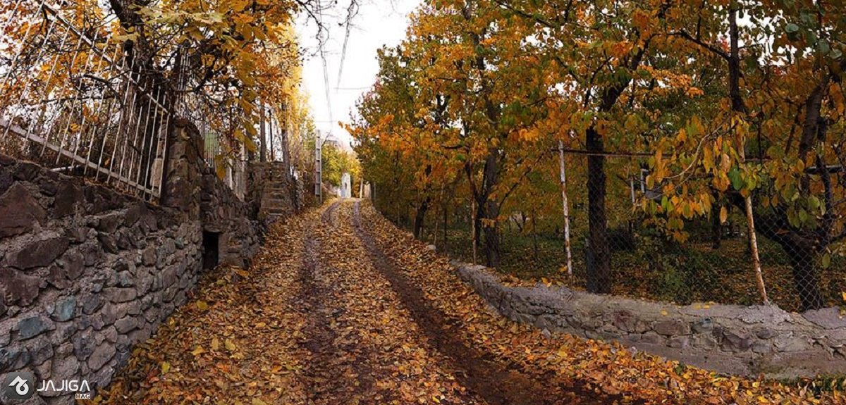 8 مقصد پاییزی برای تماشای دلبری رنگ‌ها در اطراف تهران