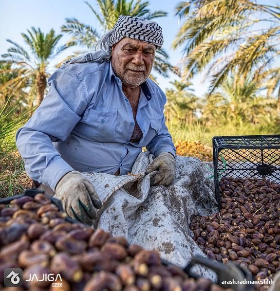 سوغات اهواز