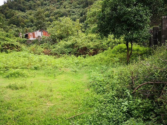 روستای چارز