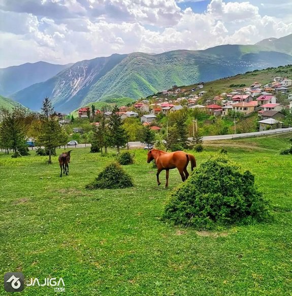 بهترین زمان رسیدن به گرسماسر