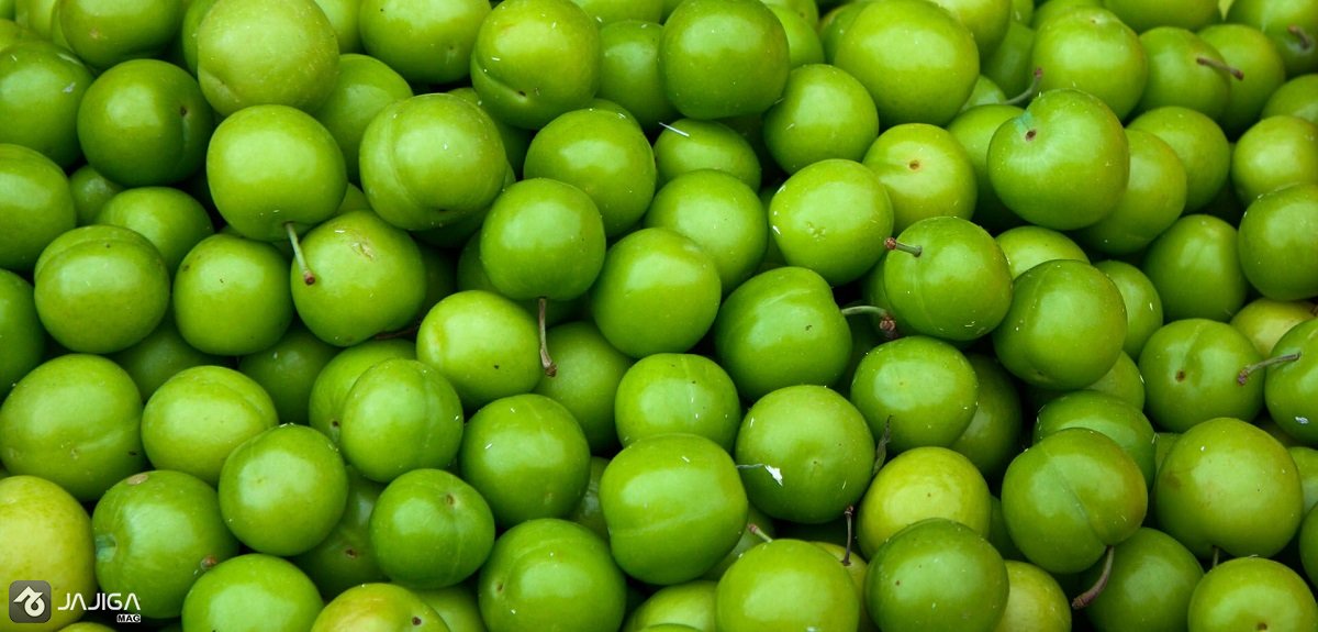 گوجه سبز یا آلوچه فرق گوجه سبز و آلوچه