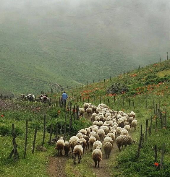 سفر به ییلاق شکردشت