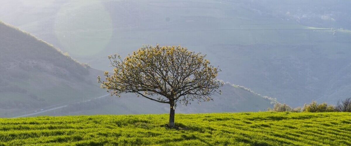 مینودشت-کجاست