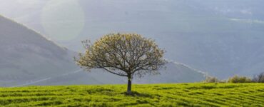 مینودشت-کجاست