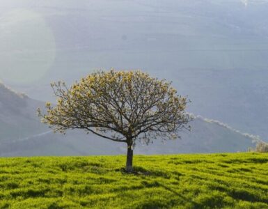 مینودشت-کجاست