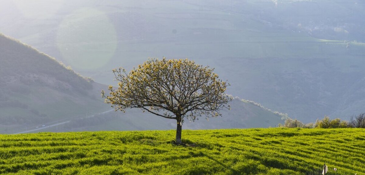 مینودشت کجاست