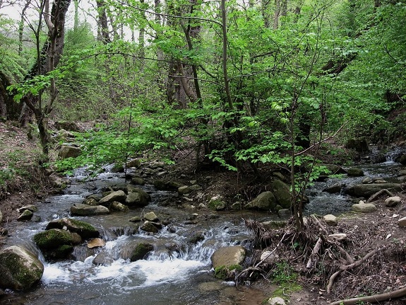 تنگه-چهل-چای