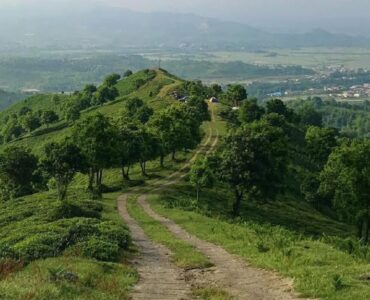 جاهای دیدنی املش، از ییلاق تا جنگل
