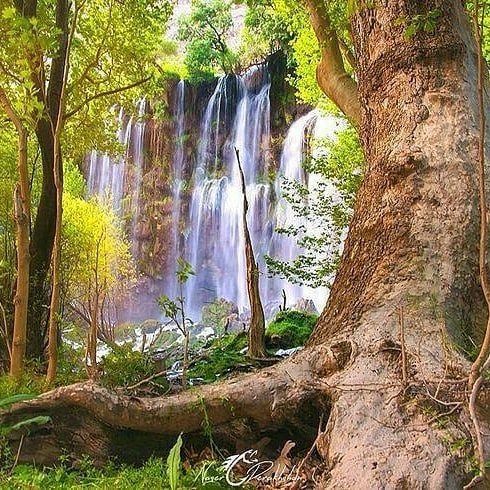آبشار-زردلیمه