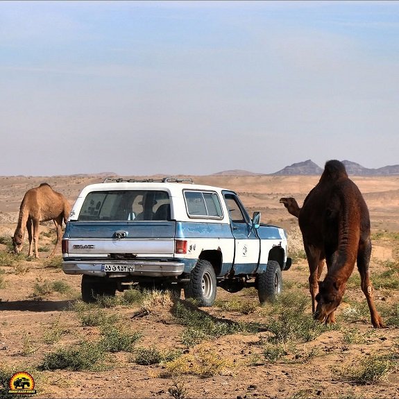 ابوزیدآباد