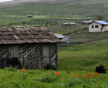 جاهای دیدنی لیسار، قلعه‌ای در دل طبیعت