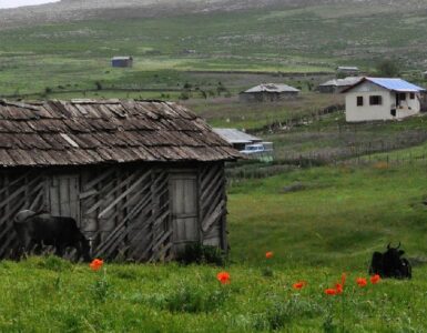 جاهای-دیدنی-لیسار