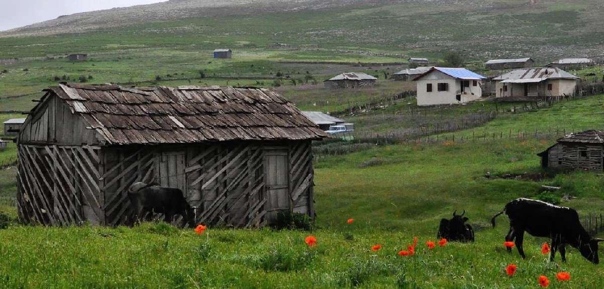 جاهای دیدنی لیسار