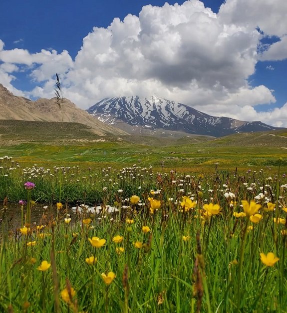 %D8%AF%D8%B4%D8%AA %D9%84%D8%A7%D8%B1 جاهای دیدنی آمل برای طبیعتگردی؛ جنگل، آبشار و ییلاق