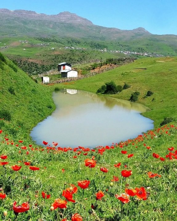 شکردشت