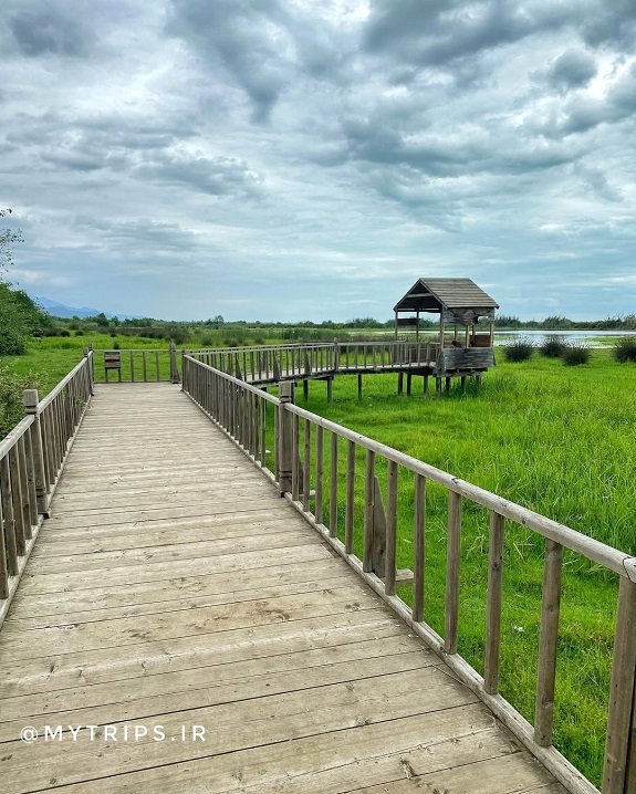 منطقه-حفاظت-شده لیسار