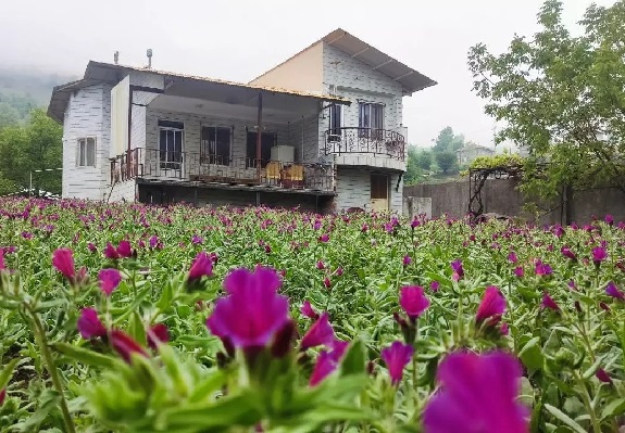 اقامت-در-نکا
