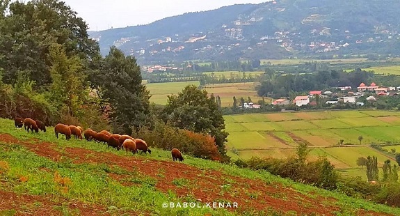 بابلکنار