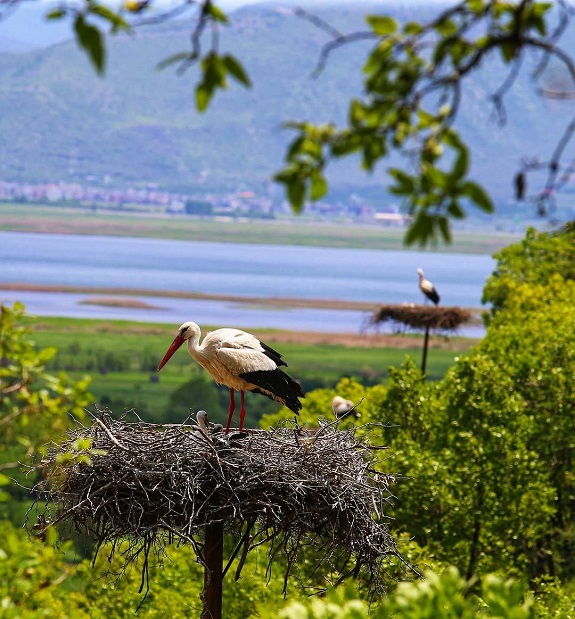 روستاهای کردستان
