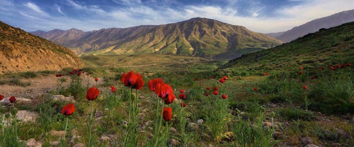 رودهن کجاست