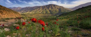 رودهن کجاست