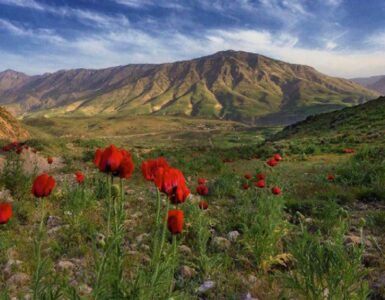 رودهن کجاست
