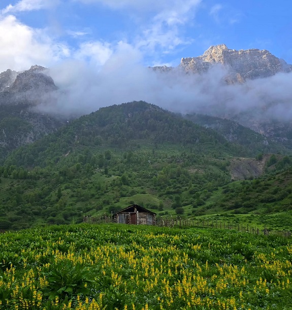 سوادکوه کجاست؟
