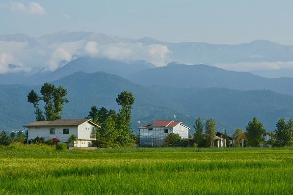 کلاچای کجاست؟