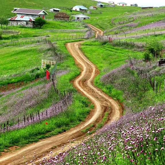 تالش کجاست؟