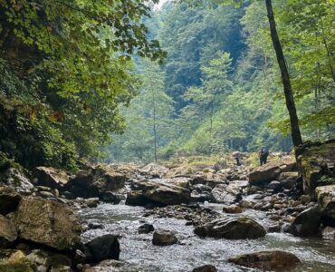 تنگه بهشت، رویای سبز عباس آباد
