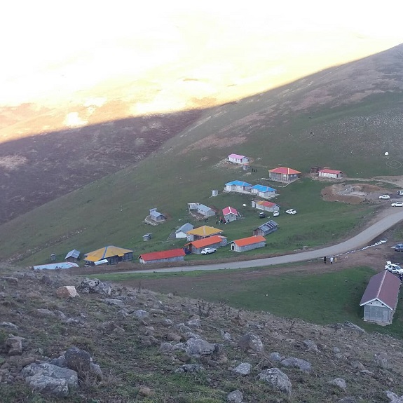 خرزنه پشت