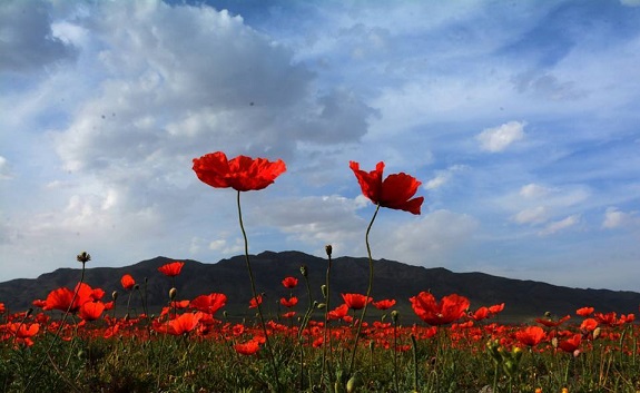 جاهای دیدنی شهریار