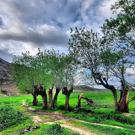 لواسان کجا بریم؟
